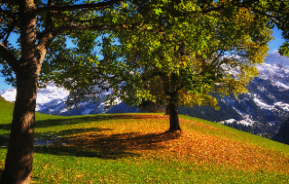 проєкт області!!!