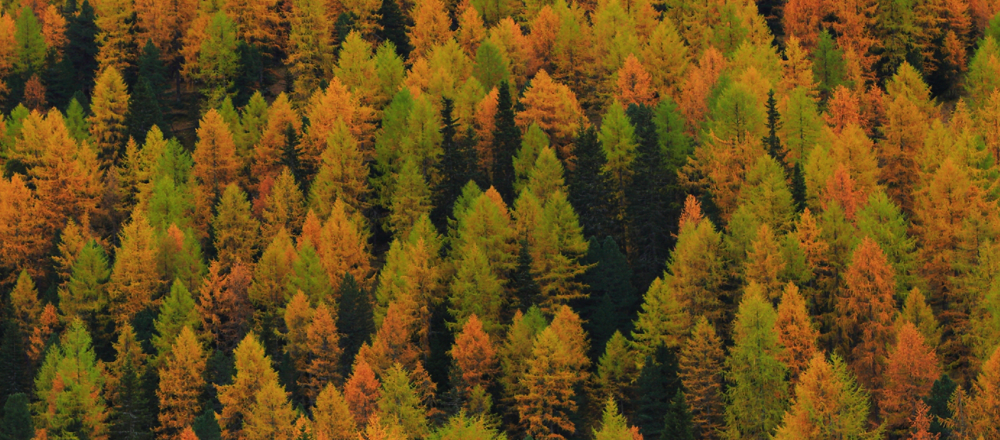 Новина 2го рівня ще одна!!!