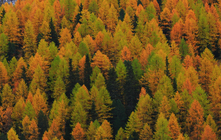 Новина 2го рівня ще одна!!!