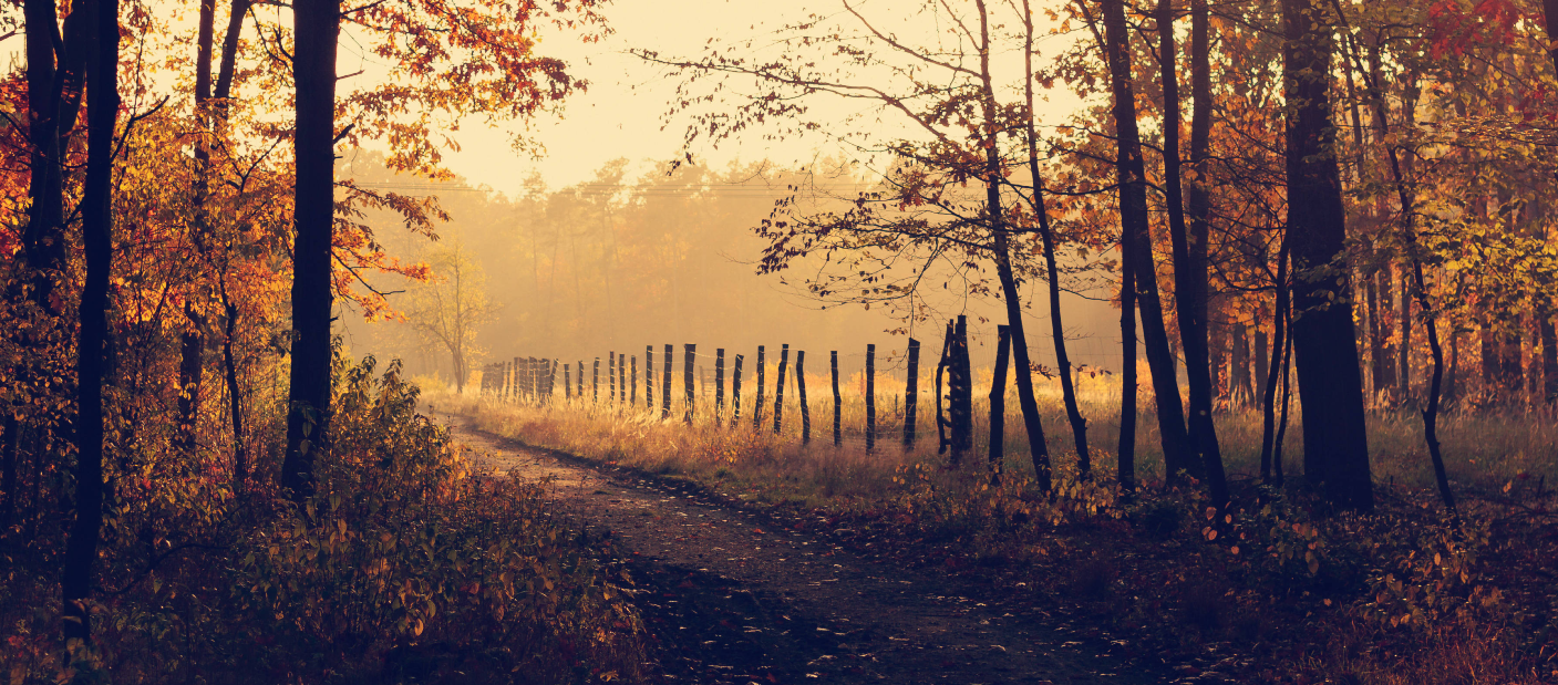 Новина про зображення