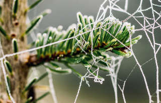 Новина про зображення