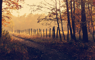 Проект документації